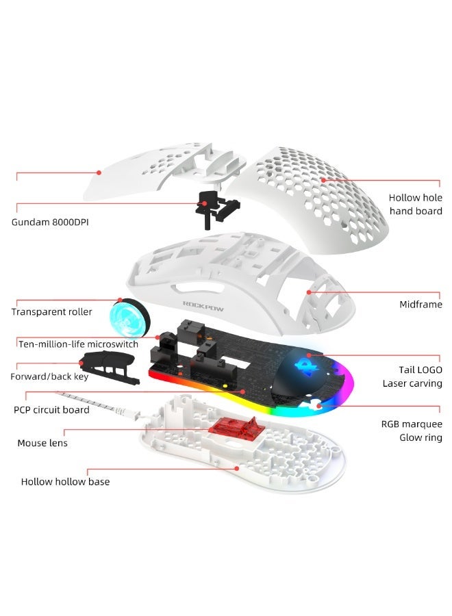 Rock Pow Arabic 60% Wired Gaming Keyboard Mouse Combo,RGB Gaming Mice Ergonomic Ultralight 8000DPI Optical Sensor,61 Keys RGB Backlit Gaming Keyboard,Ultra-Compact Mini Waterproof Keyboard for PC Computer Gamer - Image 4
